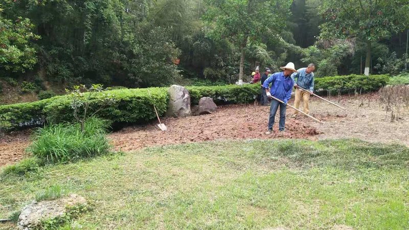 小区绿化养护报价单模板：如何科学评估养护成本**