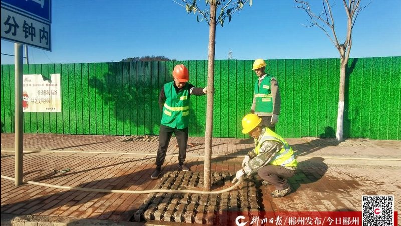 边坡绿化材料，如何选择优质批发厂家？**