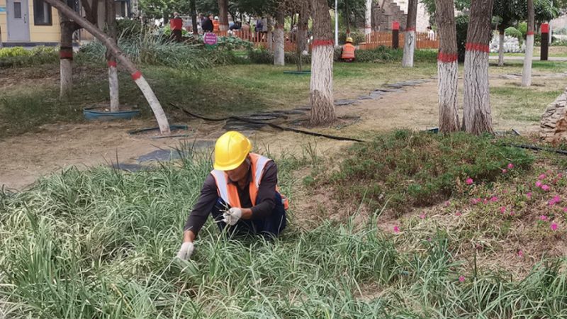 园林工程报价审核，如何做到心中有数？**