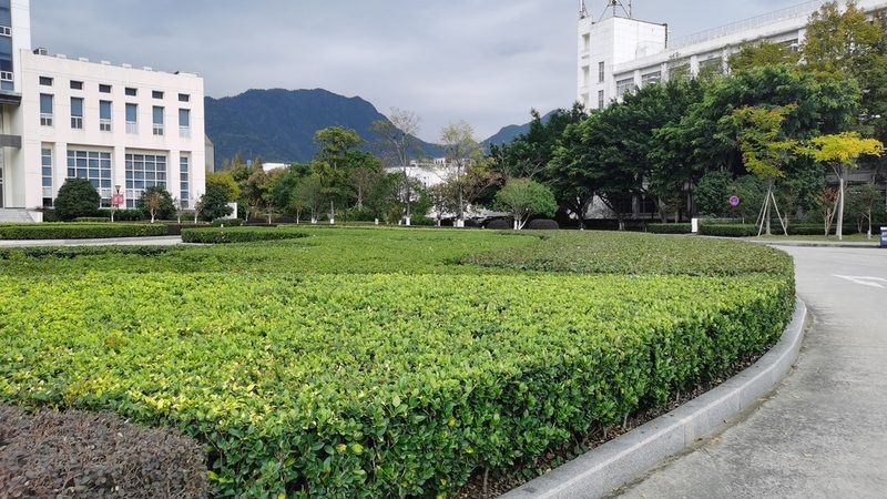 屋顶花园造价迷雾：十大品牌背后的真实成本逻辑