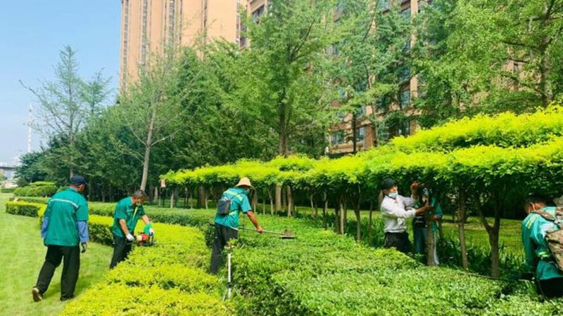 道路绿化工程验收，武汉市场有本自己的账